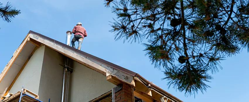 Birds Removal Contractors from Chimney in Prichard, AL