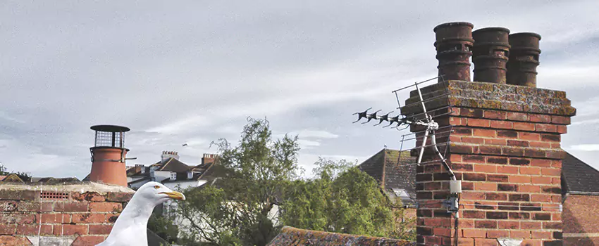 Chimney Cleaning And Restoration in Prichard, Alabama
